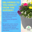 Planted Container - Multicolour