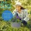 Planted Container - Sea Blues