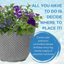 Planted Container - Sea Blues