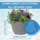 Planted Container - Sea Blues