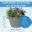 Planted Container - Sea Blues