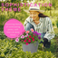 Planted Container - Sophistication