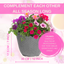 Planted Container - Sophistication