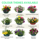 Planted Container - Sophistication