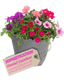 Planted Container - Sophistication