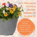 Planted Container - Tangerine Twist