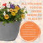 Planted Container - Tangerine Twist