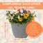 Planted Container - Tangerine Twist