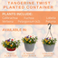Planted Container - Tangerine Twist