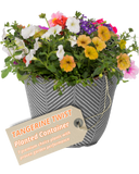 Planted Container - Tangerine Twist