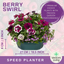 Speedplanter - Berry Swirl