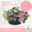 Speedplanter - Bridal Boutique