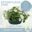 Speedplanter - Effortless Chic