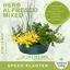 Speedplanter - Herb Alfresco Mixed