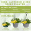 Speedplanter - Herb Alfresco Mixed