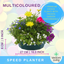 Speedplanter - Multicolour