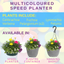 Speedplanter - Multicolour