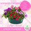 Speedplanter - Sophistication