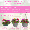 Speedplanter - Sophistication