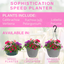 Speedplanter - Sophistication