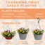 Speedplanter - Tangerine Twist
