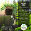 Fern Mix - Shield Fern, Holly Fern, Male Fern