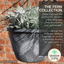 Small Hanging Basket Outdoor Garden - 11” 28cm Wide Classic Hanging Basket Pots. Lightweight Recycled Plastic. Enhance a Deck, Patio, Balcony or Terrace. Fern Leaf Pattern, Black And Green, 1x Tub