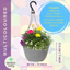 Hanging Basket - Multicolour