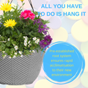 Hanging Basket - Multicolour