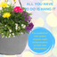 Hanging Basket - Multicolour