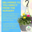 Hanging Basket - Multicolour