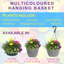 Hanging Basket - Multicolour