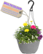 Hanging Basket - Multicolour