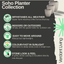 Soho Planter Set - Test Product