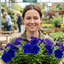 Set of 3 Large Plants - Petunia Express Blue, Outdoor Garden Ready