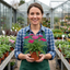 Set of 3 or 6 Achillea Millefolium Cerise Queen Plants, Hardy Pink Yarrow, Summer Flowering Perennial, Outdoor Garden Ready, 1 Litre / 11cm Root-Ball