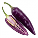 Grow Your Own Chilli Pepper Gusto Purple Plants (Set of 3 or 6)