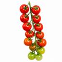 Tumbling Tom Red Tomato Hanging Basket Plants, 25cm Pots
