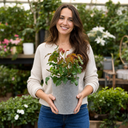 3Ltr Orange Patio Rose Plant, Hardy Bush, Nursery Pots