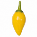 Chilli Pepper 25cm Hanging Basket, Peppers from Heaven, Pots