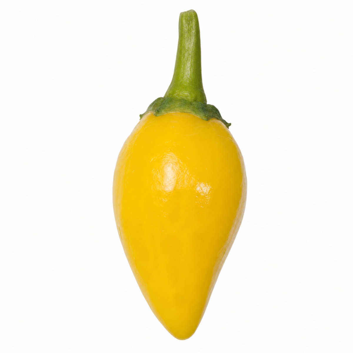 Chilli 'Peppers from Heaven Yellow' – Compact Cropping Chilli (25cm Hanging Basket)