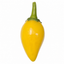 Chilli Pepper 25cm Hanging Basket, Peppers from Heaven, Pots