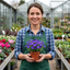 Set of 3 or 6 Large Plants - Aubrieta Kitte Blue, Ready to Plant in Your Garden, 1L