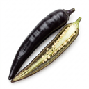 Zimbabwe Black Chilli Pepper Plants