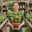 1 Grape Vitis Sulima White Vine Plant, Self Pollinating Hardy Outdoor Garden Ready, 3 Litre Root-Ball
