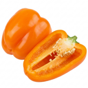 Grow Your Own Sweet Pepper Snack Orange Plant