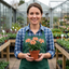 Set of 3 or 6 Verbena Magelana Peach Trailing Plants, Summer Bedding Flowers, Hanging Basket & Garden Ready, 10.5cm Root Ball
