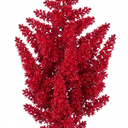 Astilbe Music Series Red Plant (5L Pot)