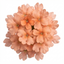 Set of 3 or 6 Verbena Magelana Peach Trailing Plants, Summer Bedding Flowers, Hanging Basket & Garden Ready, 10.5cm Root Ball