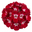 1 Geranium Calliope M Red Splash, Hardy Outdoor Summer Flowering Patio Plant, 5 Litre Root-Ball